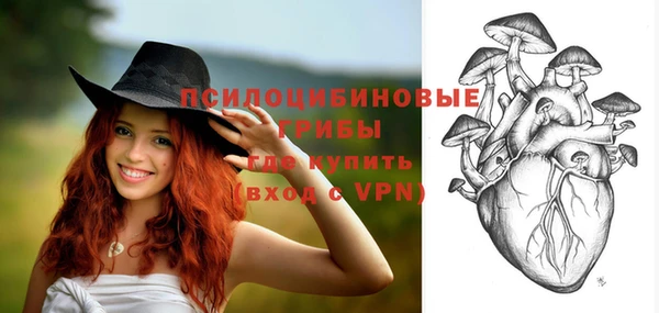 spice Володарск