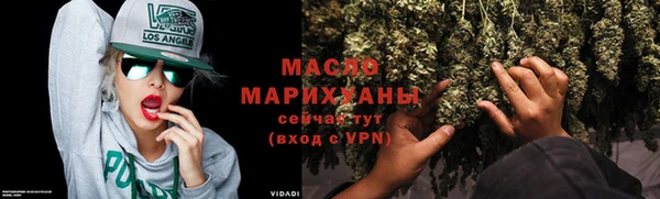индика Волосово