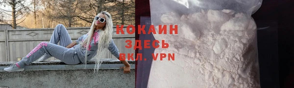 индика Волосово
