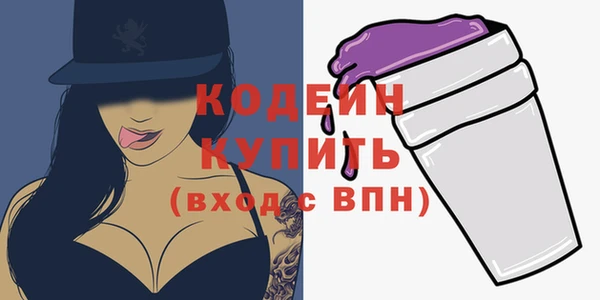 индика Волосово