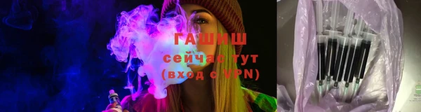 индика Волосово