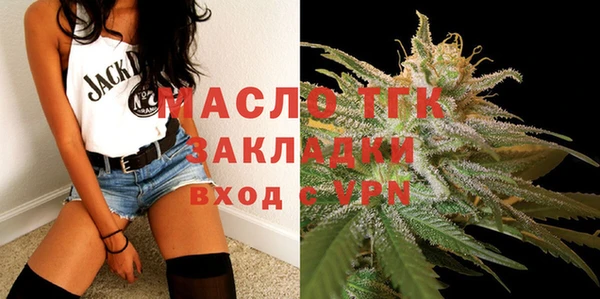 индика Волосово