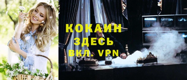 индика Волосово