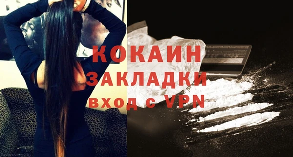 индика Волосово