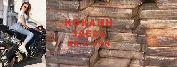 индика Волосово