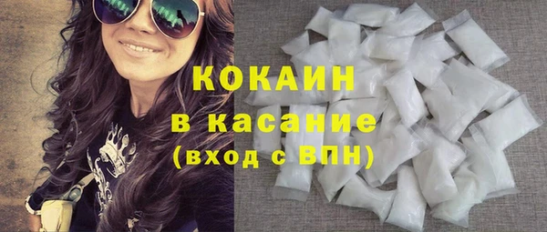 индика Волосово